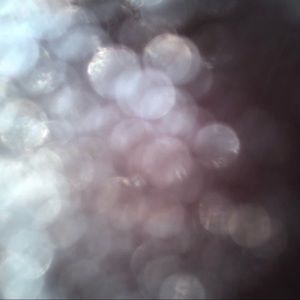 Meet your Posher, Staci